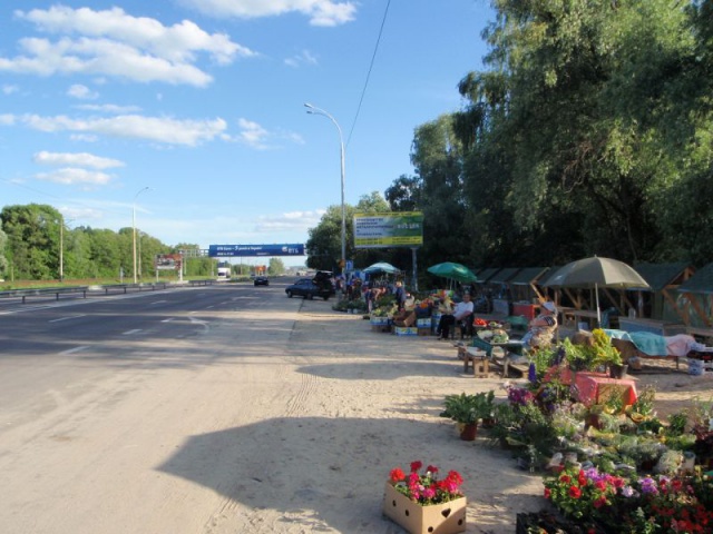 Щит 6x3,  за поворотом на  с.Лісники 21км+080 праворуч